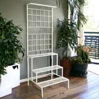 bloom plant stands