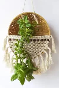 cotton basket plant hanger