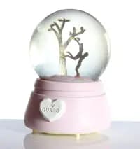 couple glass dome with music & light