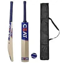 cricket bat with red tennis ball