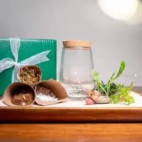 diy terrarium kit with glass jar
