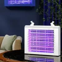 eco friendly insect lamp