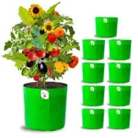 grow bags for terrace garden