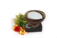 handmade coconut shell soap dish