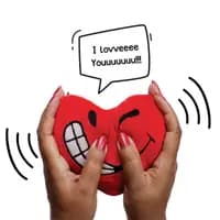 heart cushion toy with voice recording