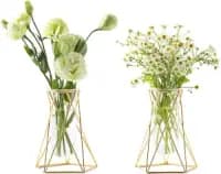hydroponic glass tube plant stand
