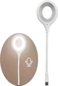 intelligent voice control lamp