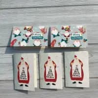 kavi plantable christmas greeting cards