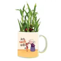 meri pyaari dadi indoor mug planter