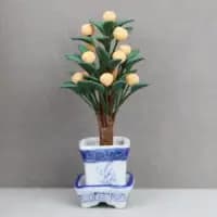 miniature citrus tree in a pot