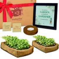 mom mummy ka garden kit