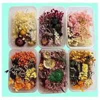 natural real dried flowers for art craft