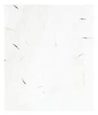 plantable seed paper wall art