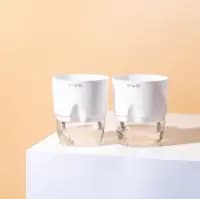 self watering mini plant for study table