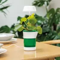 self watering pot with led light
