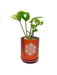 terracotta pot set