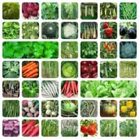 vegetable seeds with instruction manual