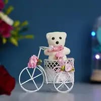 white cycle with teddy bear